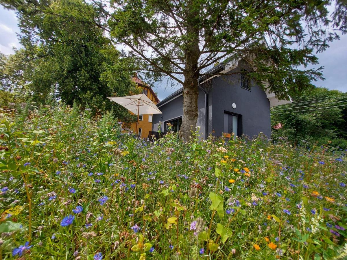 Villa Bryziówka B Miłków Exterior foto